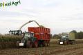 Ensilage de maïs (Schoonbroodt)