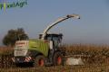 Ensilage de maïs (Etienne)