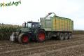 Ensilage de maïs (Schoonbroodt)