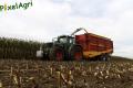 Ensilage de maïs (Schoonbroodt)