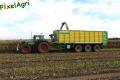 Ensilage de maïs (Schoonbroodt)