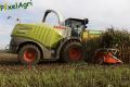 Ensilage de maïs (Schoonbroodt)