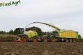 Ensilage de maïs (Schoonbroodt)