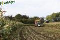 Ensilage de maïs (Schoonbroodt)