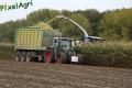 Ensilage de maïs (Schoonbroodt)