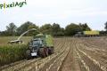 Ensilage de maïs (Schoonbroodt)