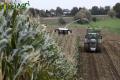 Ensilage de maïs (Schoonbroodt)