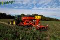 Semis de froment sous couvert