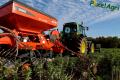 Semis de froment sous couvert