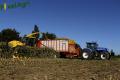 Ensilage de maïs (Herens)
