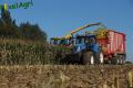 Ensilage de maïs (Herens)