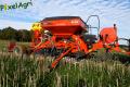 Semis de froment sous couvert