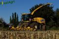 Ensilage de maïs (Herens)