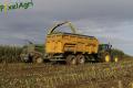 Ensilage de maïs (Evrard)