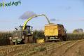 Ensilage de maïs (Evrard)