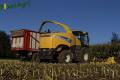 Ensilage de maïs (Herens)