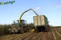 Ensilage de maïs (Evrard)