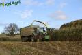 Ensilage de maïs (Evrard)