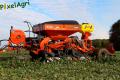 Semis de froment sous couvert