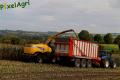 Ensilage de maïs (Herens)