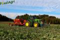 Semis de froment sous couvert