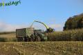 Ensilage de maïs (Evrard)