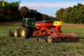 Semis de froment sous couvert