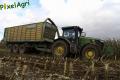 Ensilage de maïs (Evrard)