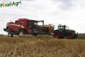 Moisson (Herens)