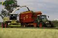 Ensilage d'herbe (Ruwet)