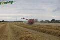 Moisson (Herens)