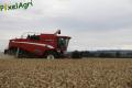 Moisson (Herens)