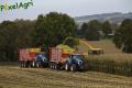 Ensilage de maïs (Herens)