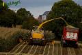 Ensilage de maïs (Herens)