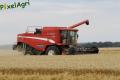 Moisson (Herens)