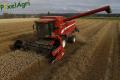Moisson (Herens)
