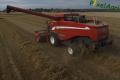 Moisson (Herens)