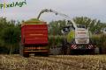 Ensilage de maïs (Ruwet)
