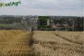 Moisson (Fortemps)