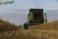 Moisson (Fortemps)