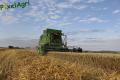 Moisson (Fortemps)