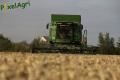 Moisson (Fortemps)