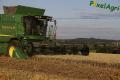 Moisson (Fortemps)