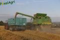 Moisson (Fortemps)