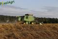 Moisson (Fortemps)