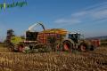 Ensilage de maïs (Vital Laschet & fils)