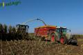 Ensilage de maïs (Vital Laschet & fils)