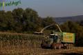 Ensilage de maïs (Vital Laschet & fils)