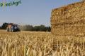 Pressage de paille