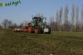 Sursemis de prairie (Schoonbroodt)